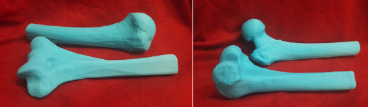 3d-ex3-humerus-and-femur-prints-with-an-fdm-printer.jpg 3D printed lower jaw