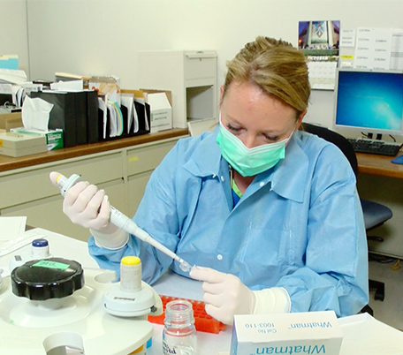 5-2.jpg Photo of a crime lab scientist as she begins testing evidence from a sexual assault kit to determine if there is DNA present on a swab.