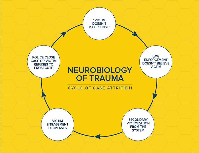 7-neurobiology.png 7-neurobiology.png