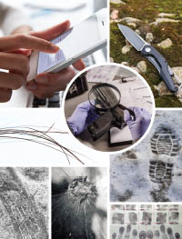 collage-of-evidence-types.jpg collage of different types of forensic evidence