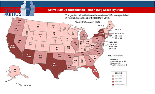 namus-map-2-unidentied-persons-cases-thumbnail.jpg Exhibit 2. Active NamUs Unidentified Person (UP) Cases by State