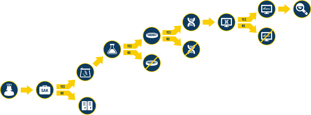 sak-process.png A photo of Nurse Ferrell using technology to examine evidence specimens.