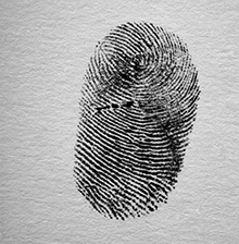 98196793 Fingerprint