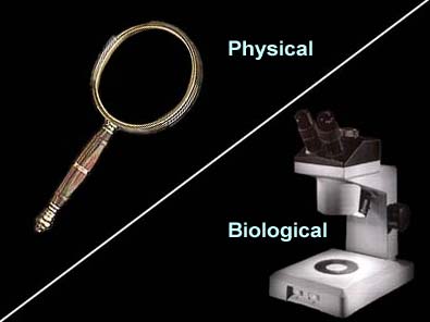 Physical vs Biological Evidence Image depicting handheld magnifying glass for Physical evidence and microscope for Biological evidence