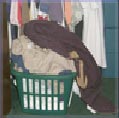 Laundry Image of laundry