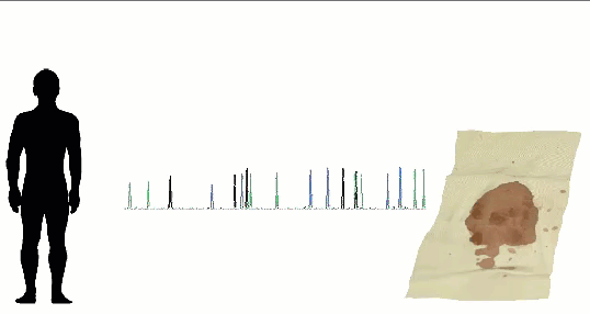 dna_profiles_are_compared.gif Animated picture of DNA specimen match DNA from a human