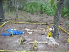 Outdoor Crime Scene Image of outdoor crime scene