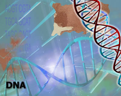 History and Types of Forensic DNA Testing: Introduction Image of DNA strand