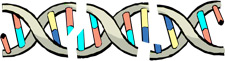 principles_of_dna_03_-_degradation.jpeg illustration of DNA Double Helix broken into pieces