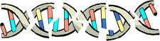 principles_of_dna_03_-_degradation_2.jpeg illustration of DNA double helix that has cracks in it