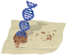 principles_of_dna_04_-_dna_extraction.jpeg Illustration of DNA strand coming out of blood stain on fabric