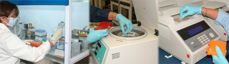 principles_of_dna_05_-_equipment.jpeg three photos of different lab equipment