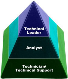 principles_of_dna_05_-_human_factors.jpeg A pyramid with 3 layers, Technical Leader on top, Analyst in the middle, and Technician/Technical Support on the lower level