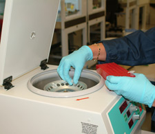 principles_of_dna_06_-_differential_extraction_2.jpeg Photo of gloved hands taking test tubes out of a machine
