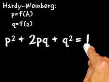 principles_of_dna_07_-_equation.jpeg illustrated chalkboard with Hardy-Weinberg equation written in chalk