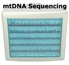 principles_of_dna_08_-_sequencing.jpeg image of an old computer monitor showing mtDNA Sequencing