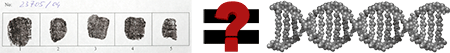 principles_of_dna_10_-_known_sample.jpeg composite image of fingerprints on the left side an equal symbol with a question mark in the center and an illustration of dna on the right
