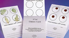 principles_of_dna_10_-_retaining_dna.jpeg photo of 3 evidence cards. Each card has 4 circles at the top where evidence (like blood droplet) is located