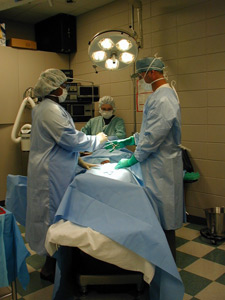 principles_of_dna_10_-_surgery.jpeg photo of 3 doctors performing surgery