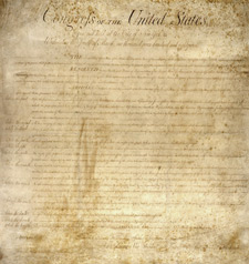 principles_of_dna_11_-_constitution.jpeg Photo of the constitution