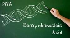 principles_of_dna_11_-_dna_chalkboard.jpeg Chalkboard with written text "DNA Deoxyribonucleic Acid" as well as hand drawing a double helix