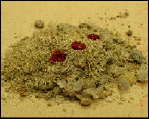 Photo of Wet evidence in sand Photo of Wet evidence in sand
