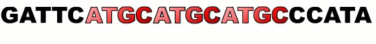strs_short_tandem_repeats.gif Animated image of the letters CATG