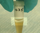 Aqueous Phase Photo of Aqueous Phase