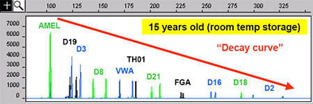 Allele dropout Allele dropout