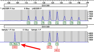 OL Alleles reported as "less than X" OL Alleles reported as "less than X"