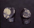 firearms_examiner_02_-_fired_bullets.jpg Photo of two fired bullets