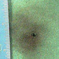 firearms_examiner_02_-_gunpowder_residue.jpg Photo of gunpowder residue on a piece of fabric