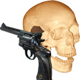 firearms_examiner_02_-_skull_and_gun.jpg Photo of a human skull and a gun