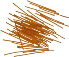 firearms_examiner_03_-_cordite_rods.png photo of cordite rods