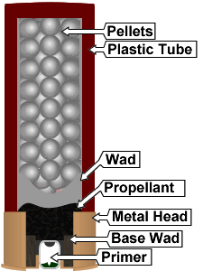firearms_examiner_05_-_shotshell.png diagram of the inside of shotshell