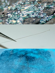 firearms_examiner_06_-_examples_of_associative_evidence.jpg From top to bottom: broken glass, hair, fingerprint