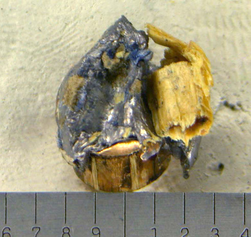 firearms_examiner_06_-_trace_evidence_2.jpg Wood evidence on fired bullet