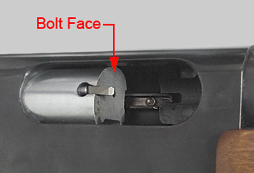 firearms_examiner_09_-_individual_characteristics_1.jpg Boltface and Extractor
