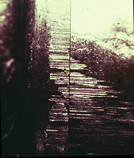 firearms_examiner_09_-_possible_toolmarks_2.jpg Chamber marks