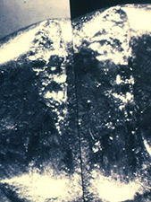 firearms_examiner_09_-_possible_toolmarks_4.jpg Ejector marks