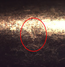 firearms_examiner_09_-_possible_toolmarks_6.jpg Ejection port mark