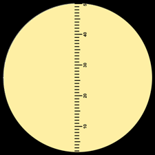 firearms_examiner_10_-_reticules.png Measuring grid of the eyepiece