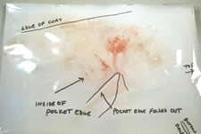 firearms_examiner_12_-_examination_documentation.jpg Positive result of a Modified Griess Test for nitrite residues with indexing marks and notations