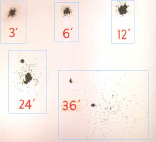 firearms_examiner_12_-_shot_pattern_reproduction.jpg Shot patterns produced using the same 12-gauge shotgun with shotshells containing #4 shot pellets