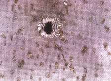 firearms_examiner_12_-_visual_and_microscopic.jpg Residues surrounding a bullet hole