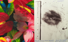 firearms_examiner_12_-_visual_and_microscopic_2.jpg Visualization of gunpowder residue patterns using a digital infrared camera and optical filters