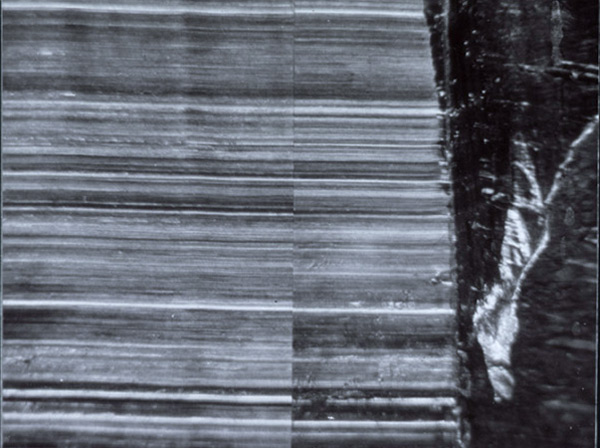 firearms_examiner_13_-_consecutive_matching_striae.jpg CMS on evidence and known striated marks