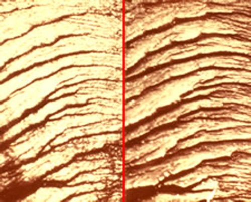 firearms_examiner_13_-_reverse_lighting_technique.jpg Comparison of a fracture in plastic using the reverse lighting technique