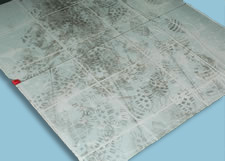 firearms_examiner_15_-_physical_plant.jpg Tacky mat outside of firing range