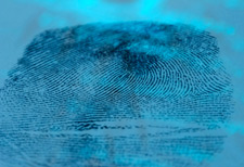 firearms_examiners_06_-_latent_fingerprints.jpg Dusted fingerprints